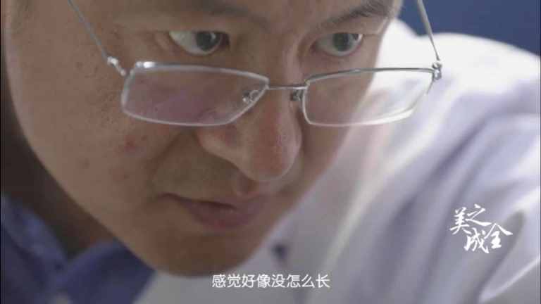 毛發(fā)移植是怎樣進(jìn)行的