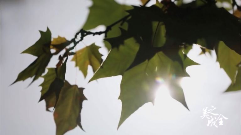 形形色色眼袋手術(shù)后不良后果之矯正