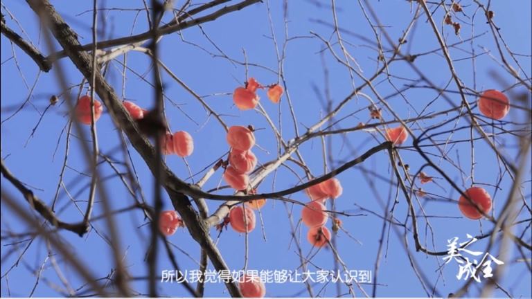 我想帶孩子來手術(shù)，有什么注意事項么