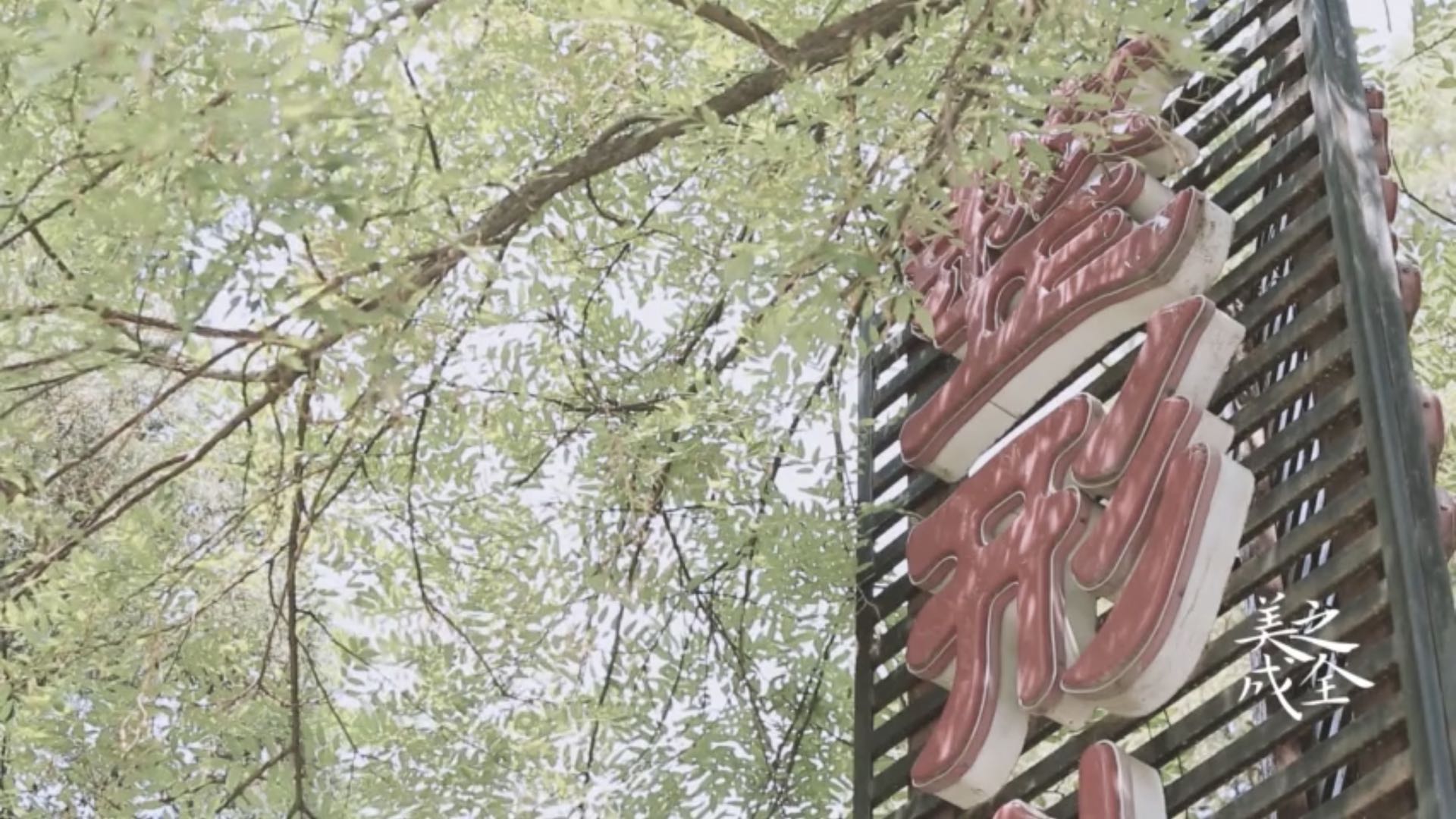 “健康聆聽 無礙溝通”助力小耳畸形患兒恢復(fù)聽力