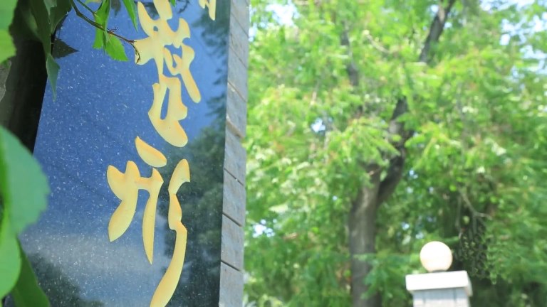 “強(qiáng)?？啤?yōu)綜合”賦能 守護(hù)群眾生命健康