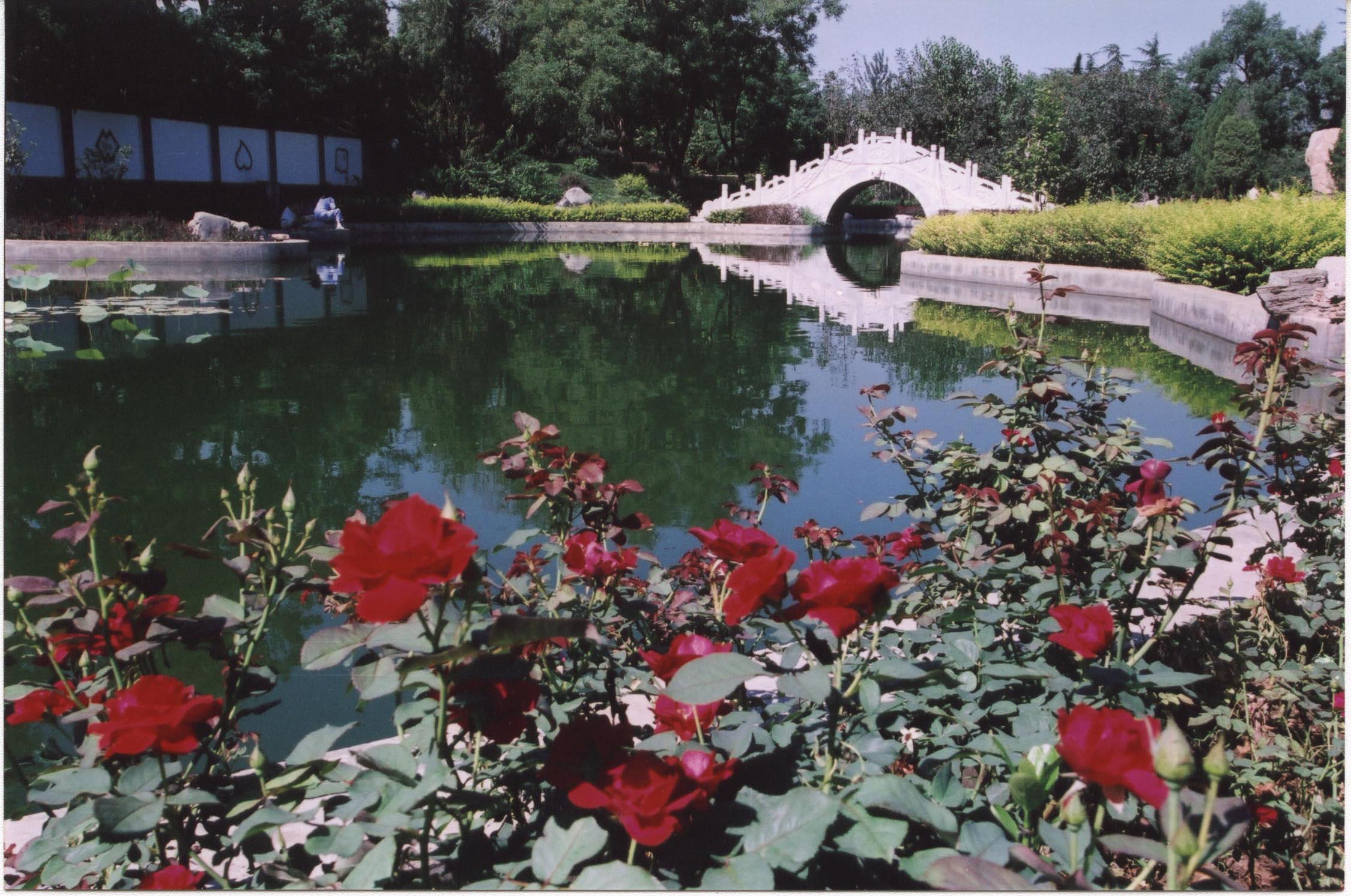 2021年招收優(yōu)秀應屆本科畢業(yè)生免試攻讀碩士、博士學位研究生簡章