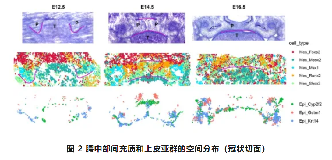 1714272782918.png 1714272782918.png