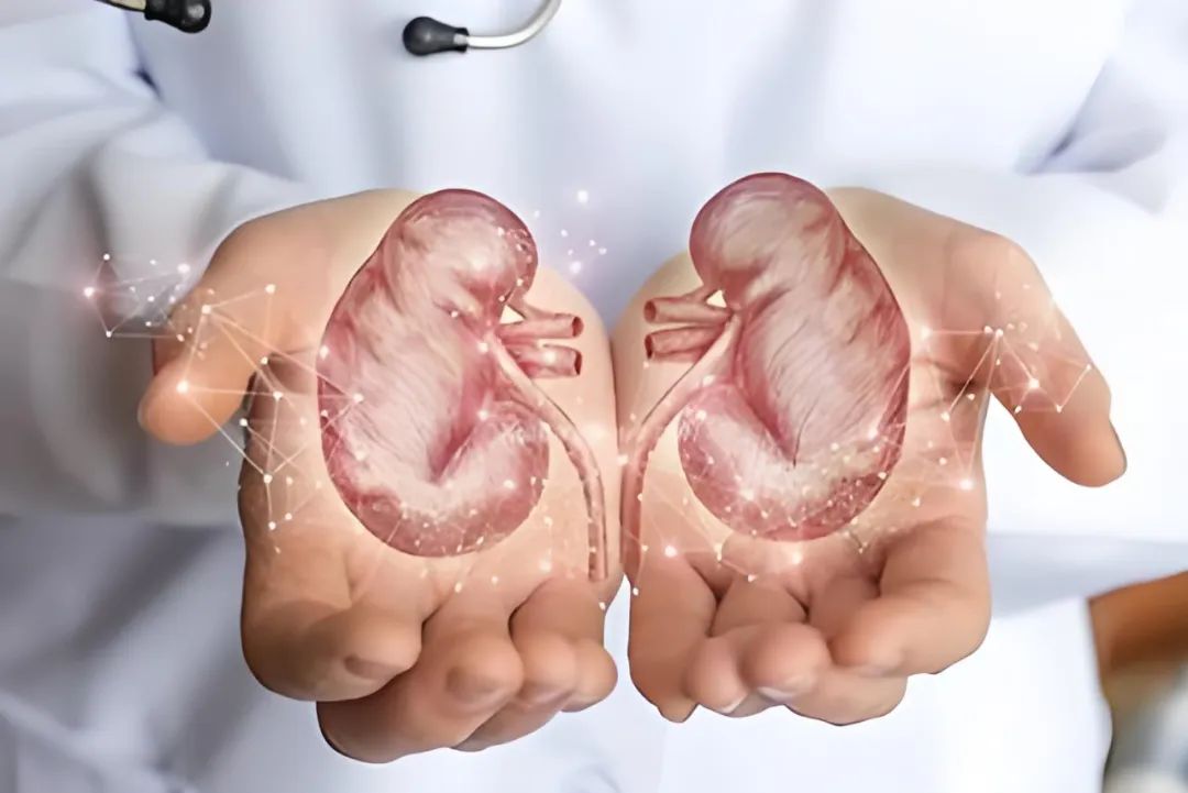 1737008760566.jpg 1737008760566.jpg