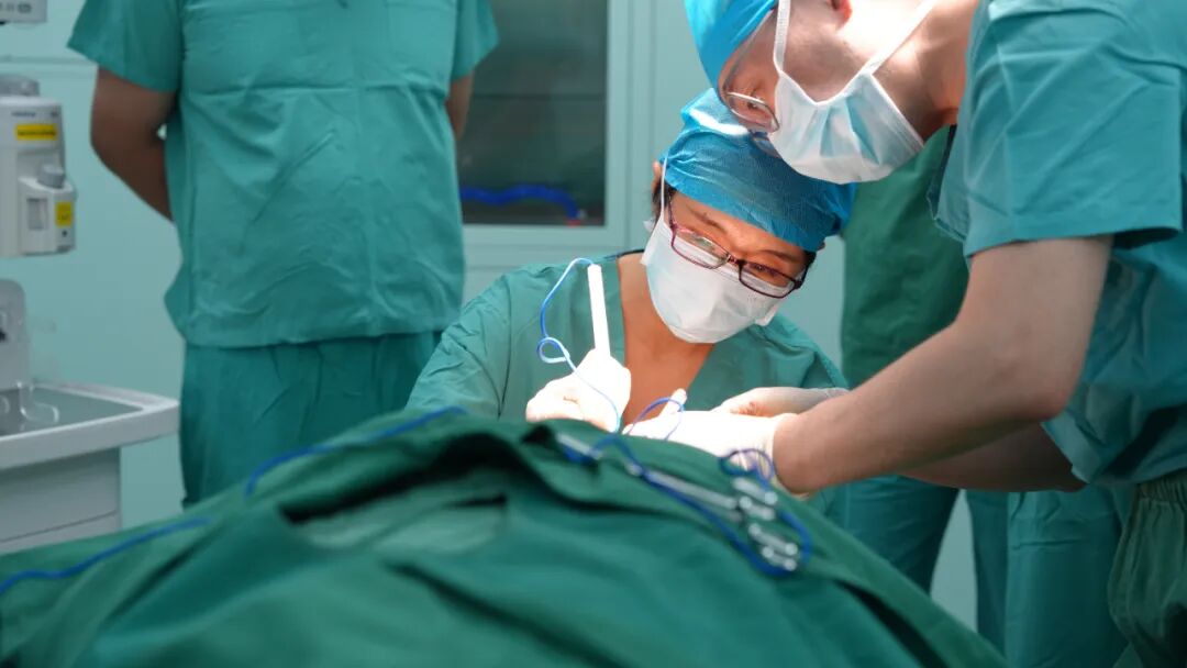 1758174964973.jpg 1758174964973.jpg