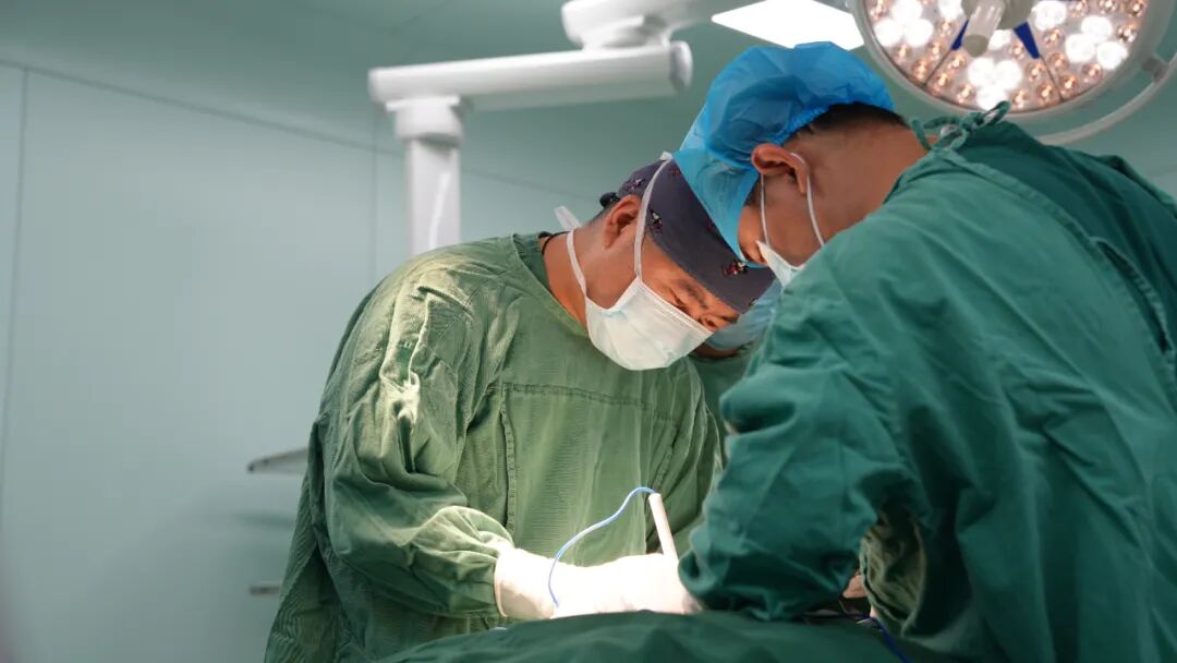 1758175113472.jpg 1758175113472.jpg