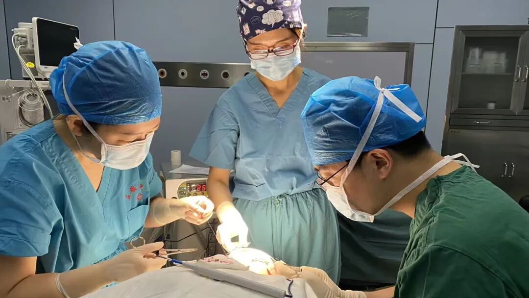 1758764013114.jpg 1758764013114.jpg